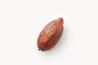 Textured whole pod of cacao tree