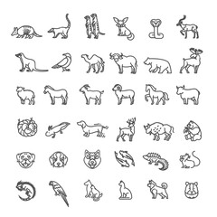 Naklejka na meble Animal icons. vector outline icon set. Zoo