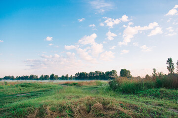 Canvas Print - Sunrise in the morning forest overlooking nature. Morning fog spreads over the ground. Rural landscape. Meadow and forest.	