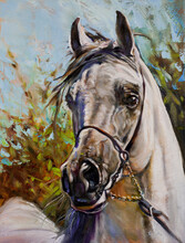 Arabian White Horse Original Art Work Hand Made Oil On Canvas Illustration 