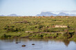 Bezaubernde Landschaft im Gondwana Game Reserve an der Garden Route in Südafrika