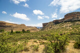 Fototapeta Sawanna - Golden Gate Highlands Nationalpark, Südafrika