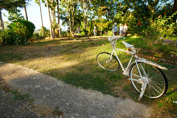 Wall Mural - bike in the park