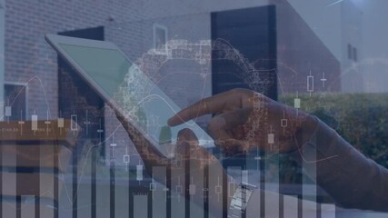 Poster - Animation of human brain and statistics processing over sman using tablet