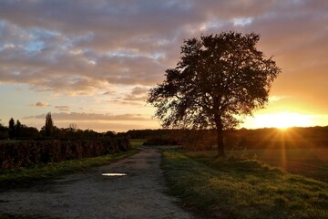 Canvas Print - Coucher du soleil automnal