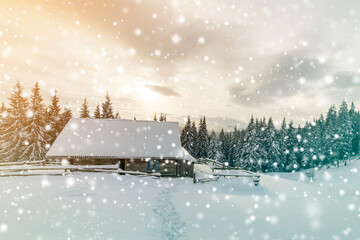 Wall Mural - Beautiful winter landscape. Wooden shepherd hut on mountain snowy clearing among pine trees on cloudy sky copy space background. Happy New Year and Merry Christmas card.