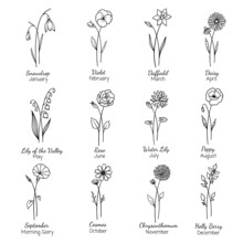 Birth Month Flowers Set.Hand Drawn Flowers Set. Silhouette Vector Flat Illustration. Astrological Zodiac, Esoteric, Tattoo.