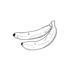 Two Black and White Bananas Hand Drawn White Background