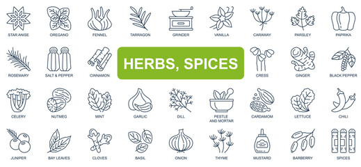 Poster - Herbs, spices concept simple line icons set. Bundle of star anise, oregano, vanilla, paprika, rosemary, salt, pepper, cinnamon and other. Vector pack outline symbols for website or mobile app design