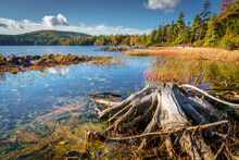 Eagle Lake In Acadia National Park
