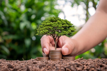 Wall Mural - Plant trees with coins or money based on money planting and environmental investment ideas.