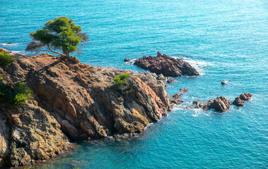 Wall Mural - Mediterranean Sea, rocks and tree