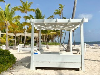 Wall Mural - Liege am Palmenstrand in der Karibik in Punta Cana in der Dominikanischen Republik 