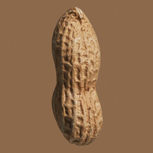 Close Up Brown Peanut In Shell
