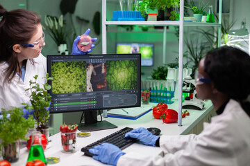 Wall Mural - multi-ethnic team of doctors analyzing bio beef sample working at biological experiment discussing m