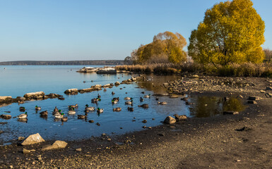 Sticker - lake in autumn