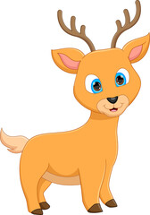 Wall Mural - cartoon cute deer on white background