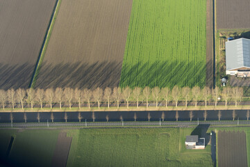 Wall Mural - Amsterdam Netherland famrd fields view panorama