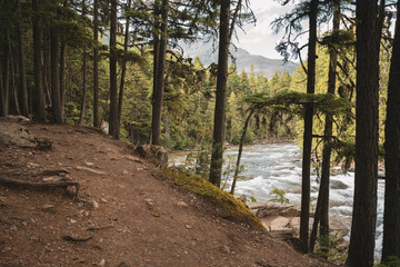 Wall Mural - Trail Over McDonald Creek in Muted Colors