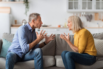 Angry Senior Couple Having Quarrel Shouting Sitting At Home