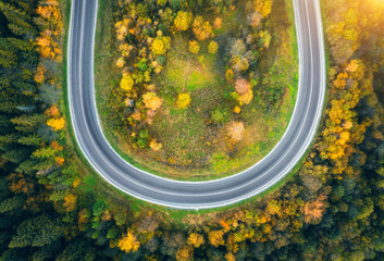 Wall Mural - Aerial view of mountain road in forest at sunset in autumn. Top view from drone of empty road in woods. Beautiful landscape with roadway, pine trees, orange foliage, sunlight in fall. Travel. Nature