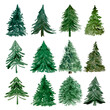 Watercolor set of green conifer trees isolated on white