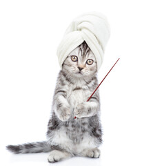 Poster - Funny kitten with towel on it head points away on empty space. isolated on white background