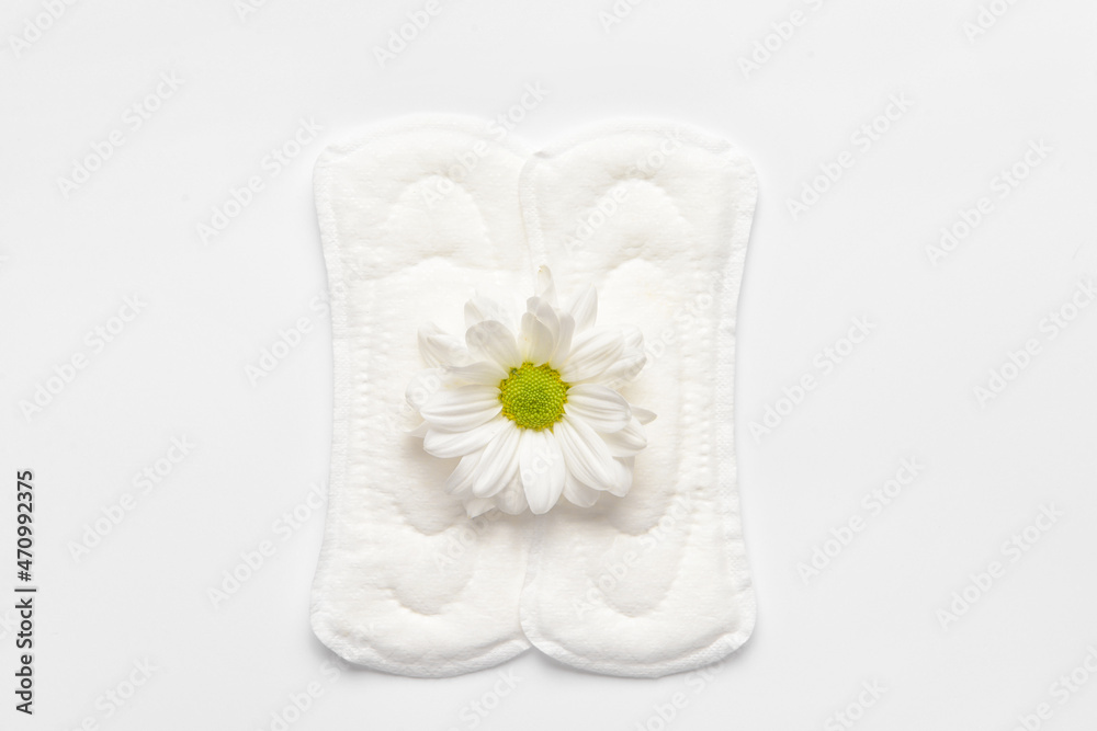 Menstrual pads and chamomile flower on white background