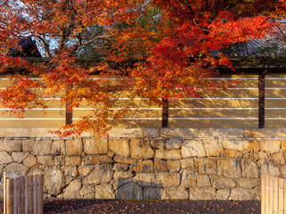 Canvas Print - 石山寺の紅葉