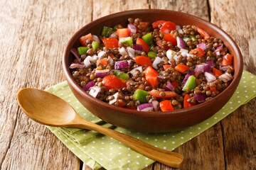 Wall Mural - Azifa is a popular Ethiopian salad consisting of green lentils, finely chopped tomatoes, and onions close up in the plate on the table. Horizontal