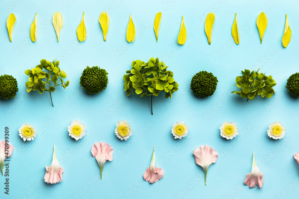 Flowers and petals on blue background, closeup