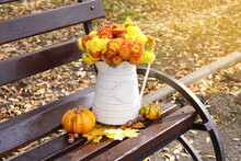 Watering Can With Beautiful Chrysanthemum Flowers And Pumpkins On Bench In Autumn Park