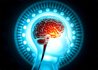 Poster - Human head anatomy on tech background. 3d illustration.