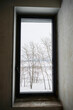 A new window in a newly built house. View of the winter landscape.
