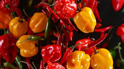 Poster - super slow motion of flying various kinds of chilli peppers. studio shot, clear background. filmed o