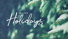 Happy Holidays Christmas Script Text Over Evergreen Tree Background In Woods Covered In Snow