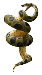 Wall Mural - 3D Rendering Green Anaconda on White