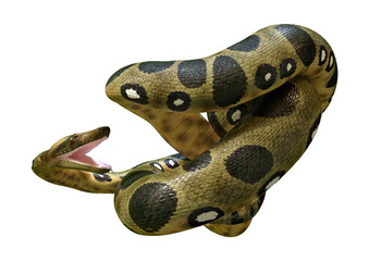 Wall Mural - 3D Rendering Green Anaconda on White