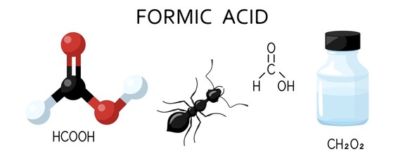 Set of Formic acid solution in blue bottle isolated on white background. Structural chemical formula and molecule model, ant, bottle.