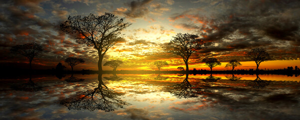 Wall Mural - panorama silhouette tree in africa with sunset.tree silhouetted against a setting sun reflection on 