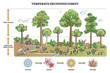 Temperate deciduous forest tree, herbs and shrub foliage description outline diagram. Labeled educational environment vegetation type with changing characteristics based on season vector illustration.