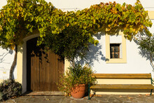 Vine Growing On A House In Weissenkirchen Wachau