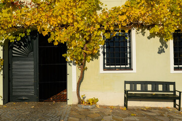 Wall Mural - Vine growing on a house in Weissenkirchen Wachau