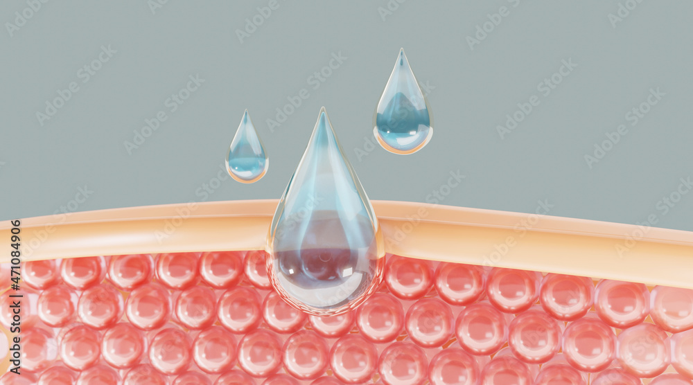 Water and vitamin drop on skin cell. serum through the skin layer and ...