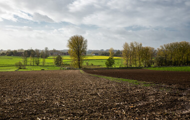 View over trees and meadows at the Belgian countryside