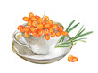 Watercolor illustration of a teacup and sea buckthorn berries and leaves