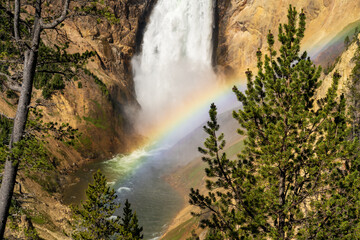  The Lower Falls waterfall on the Yellowstone River crashes down in the Grand Canyon of the Yellowstone in Yellowstone National Park in Wyoming