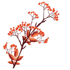 Wall Mural - Branches of rowan