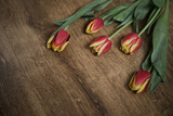 Fototapeta Tulipany - Tulips on a wooden background with space for text. Top view.