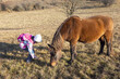 Mädchen lässt Pferd essen